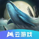 照片视频备份安卓版免登陆版