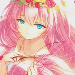 照片视频备份安卓版免登陆版
